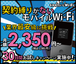 ポケットwifiは何台まで接続できる？複数接続時の注意点 | コラム