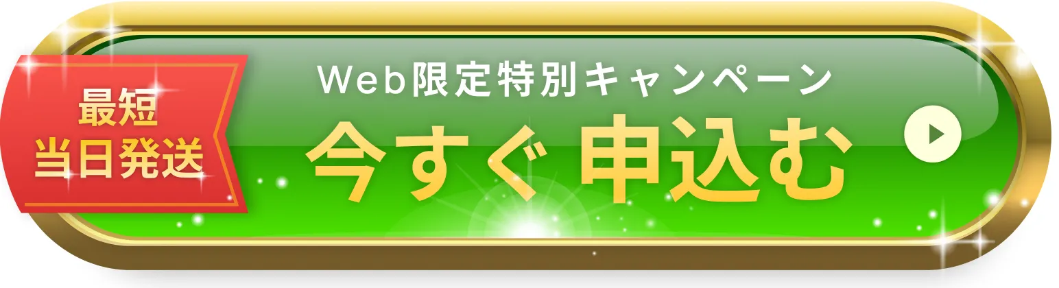 最短当日発送。web限定特別キャンペーン。今すぐ申し込む