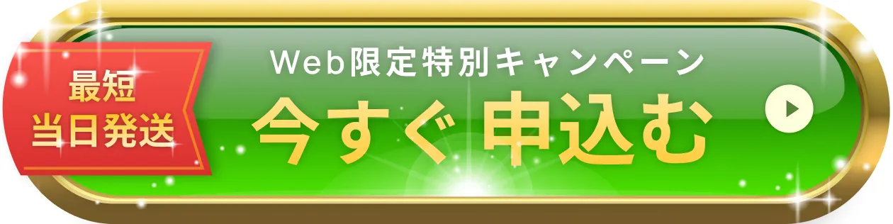 最短当日発送。web限定特別キャンペーン。今すぐ申し込む