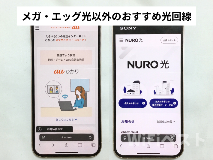 メガ・エッグ光を利用できない人のおすすめ光回線