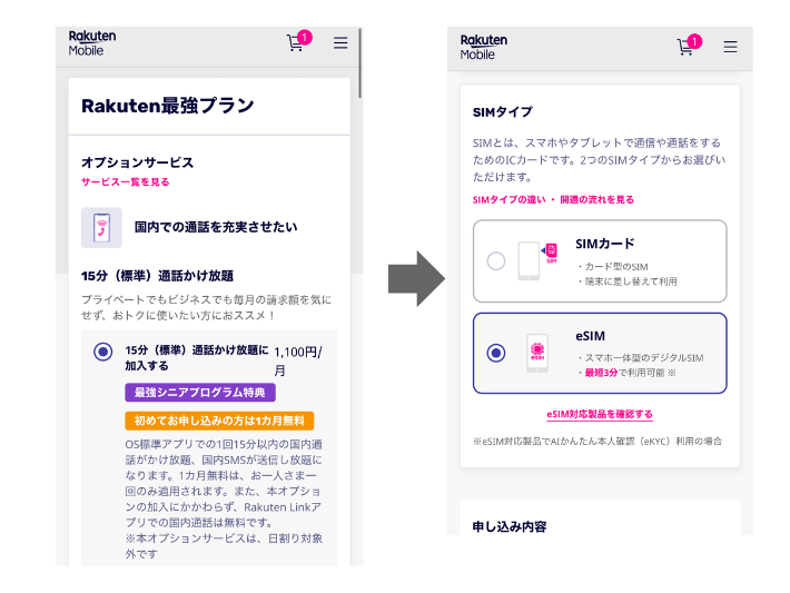 オプションとSIMタイプを選ぶ