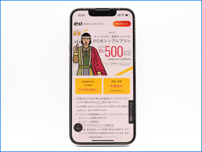 eo光シンプルプランは戸建てのみ