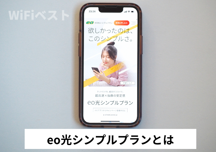 eo光のシンプルプランとは