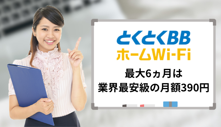 最大6ヵ月は業界最安級の月額390円