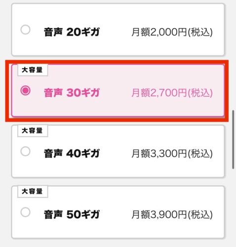 音声30ギガを選択する