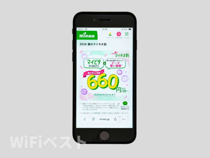 2026春のマイネオ割