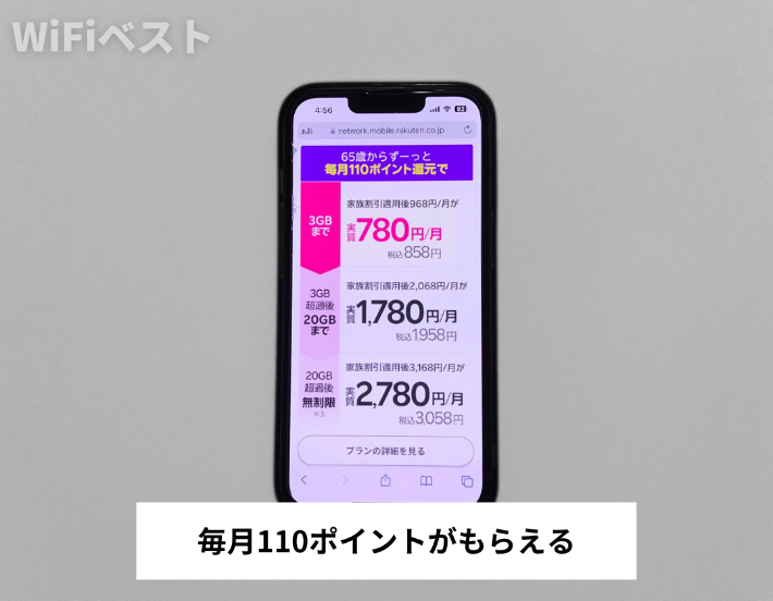 毎月110ポイントがもらえる