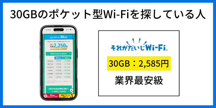 30GBのポケット型Wi-Fiを探している人