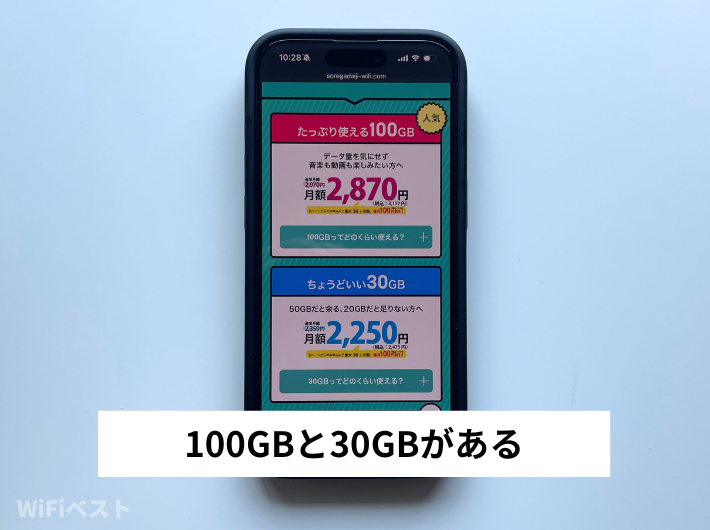 データ容量は100GBと30GBがある