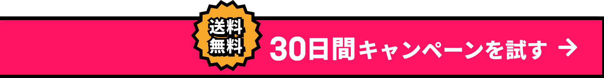 30日間使い心地を試す